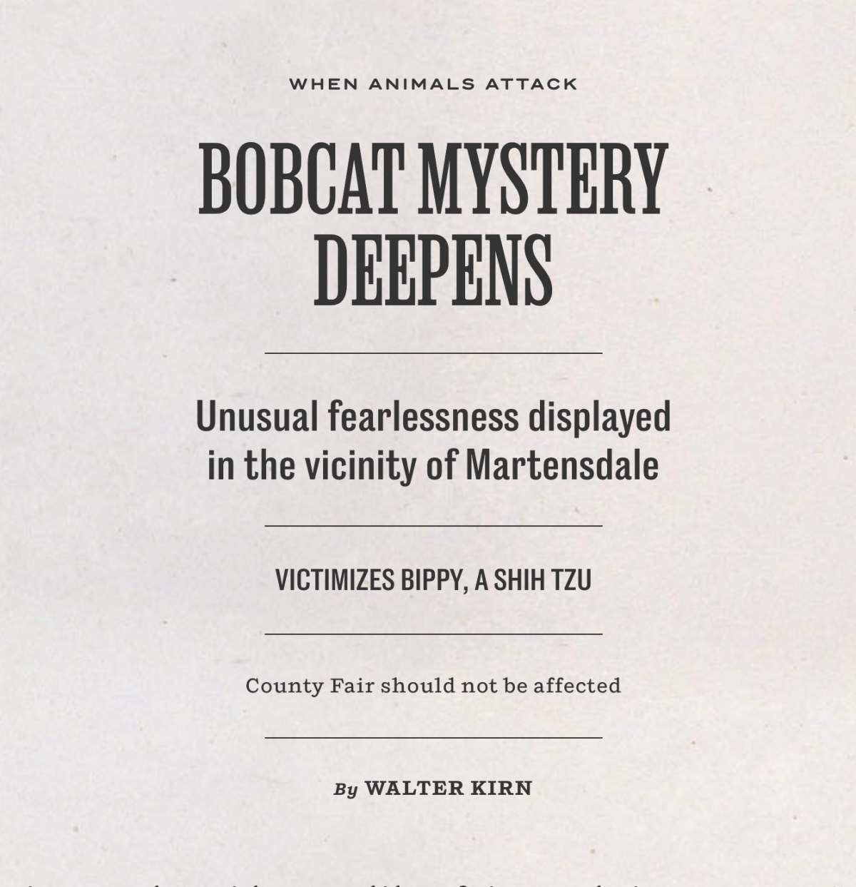 Bobcat Mystery Deepens County Highway